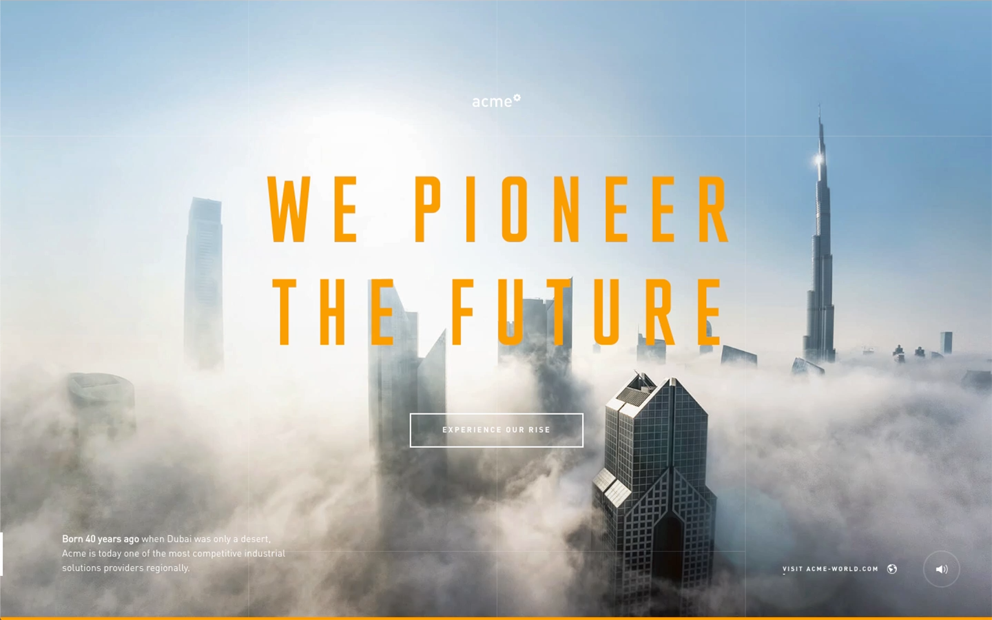 Acme Experience website screenshot