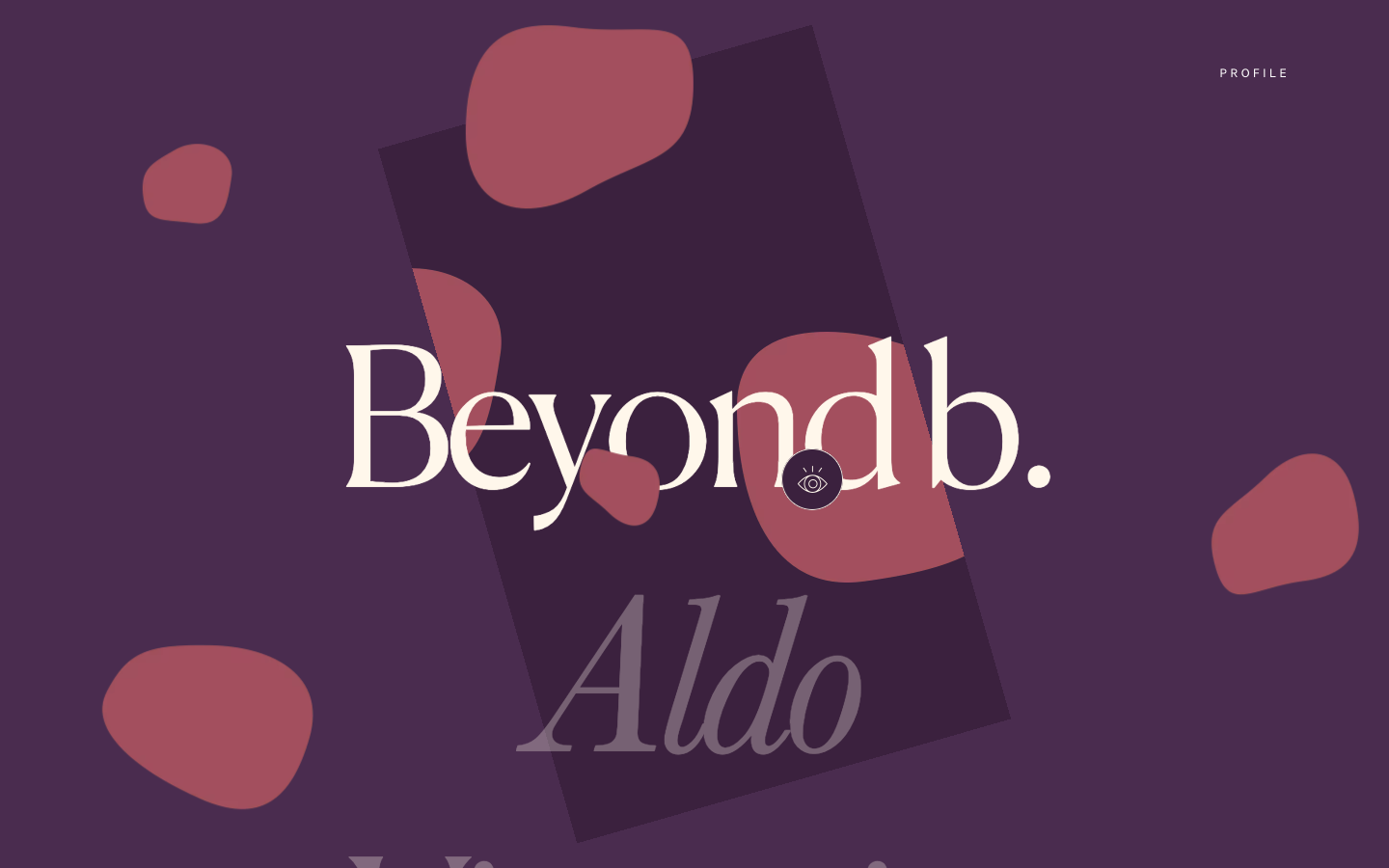 Nahel Moussi website screenshot